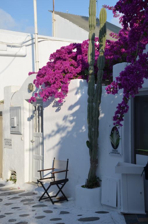 White And Grey Chora Apartment Mykonos Town Екстериор снимка