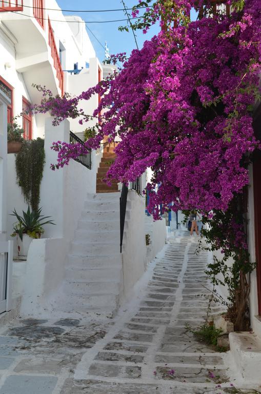 White And Grey Chora Apartment Mykonos Town Екстериор снимка